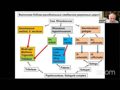 PLAMIC 2020 Лекция 1