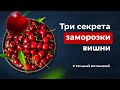 Заморозка вишни. Делаем правильно заготовки на зиму с Татьяной Литвиновой