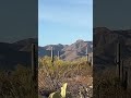 The play of light on the mountains #nature #hiking #arizona #mysterious #sonorandesert