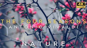 The Four Seasons Antonio Vivaldi | Vivaldi Four Seasons | Best Classical Music | 4K