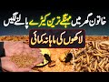 Pakistani Lady Ne Ghar Me Mehnge Keere Pal Liye - Lakho Ki Monthly Income | Mealworm Farming At Home