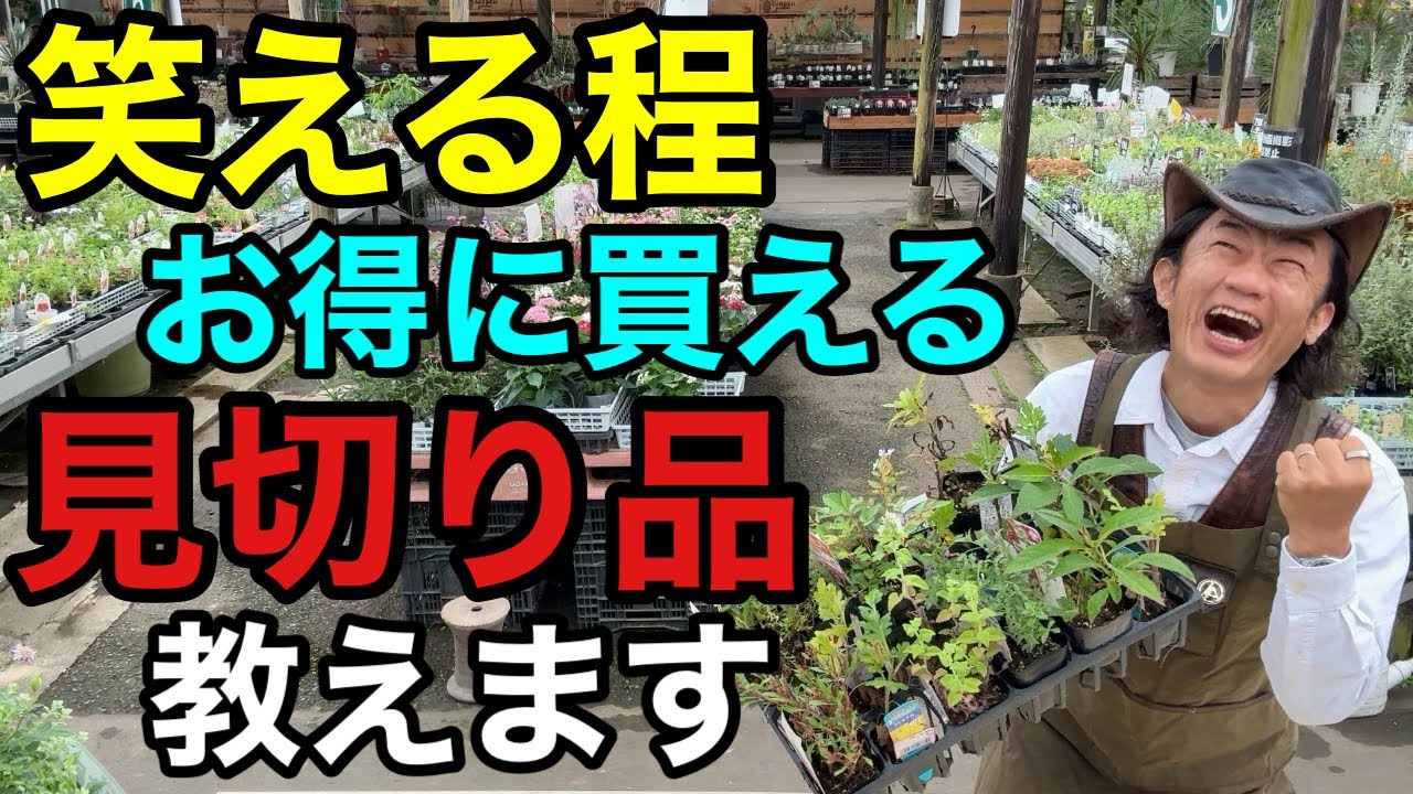 Unconventional Pro Advice] How to Buy Discounted Plants Without