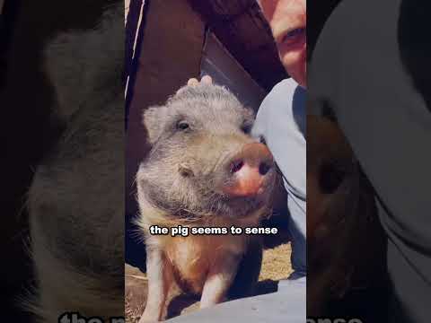 Farmer says goodbye