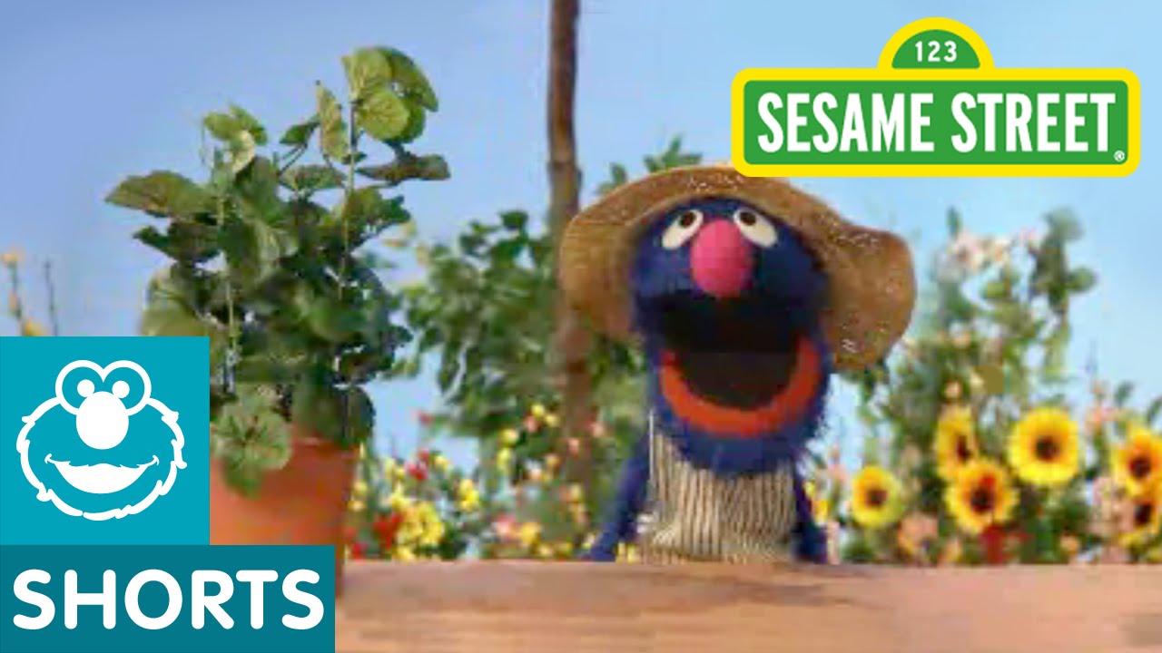 Sesame Street Grover Talks About Plants Youtube