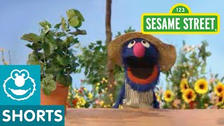 Sesame Street: Grover Talks About Plants