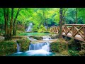 Relaxing Music For Stress Relief, Anxiety and Depressive States • Heal Mind, Body and Soul