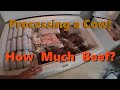 How much BEEF do you get from a cow?