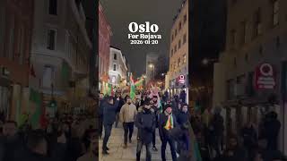 Demonstration in Oslo, Norway in solidarity with Rojava Kurdistan 2026-01-20 Part 2