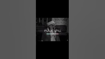 سورة البلد|| حسام المنشداوي