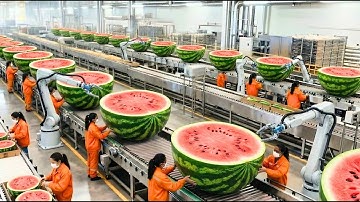 Inside the 20,000 Ton Steel Forge – The INSANE Speed of Modern Bulldozer Track Production