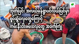 ဘုတ်ပြင်း အလယ်မန်ရွာပင်လယ်ပြင်မှာ ရှပ်ဆွဲလှေတွေကြောင့် ကမ်းနီးငါးဖမ်းလှေတွေ အခက်ကြုံ