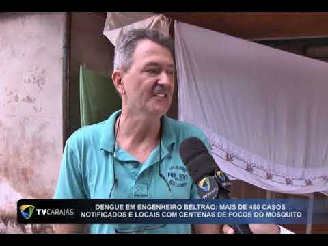 Dengue em Engenheiro Beltrão: Mais de 400 casos notificados