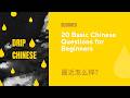 20 Basic Chinese Questions for Beginners | Pinyin + English | Shadow reading | Drip Chinese