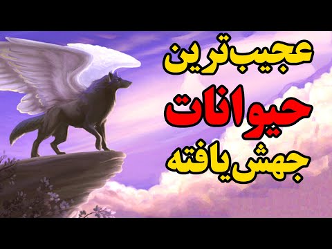 تصویری: چه پرندگان قبل از هر کس دیگری از جنوب پرواز می کنند