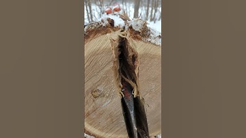 Satisfying Crisp Sounds of a Split Logs 🪵#shorts