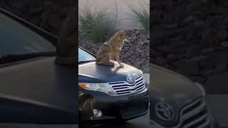 Best fails and funny moments 😂💀These clips did NOT go as planned 😭#shorts  #memes #comedy