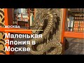 Маленькая Япония в Куркино. Куда сходить в Москве?