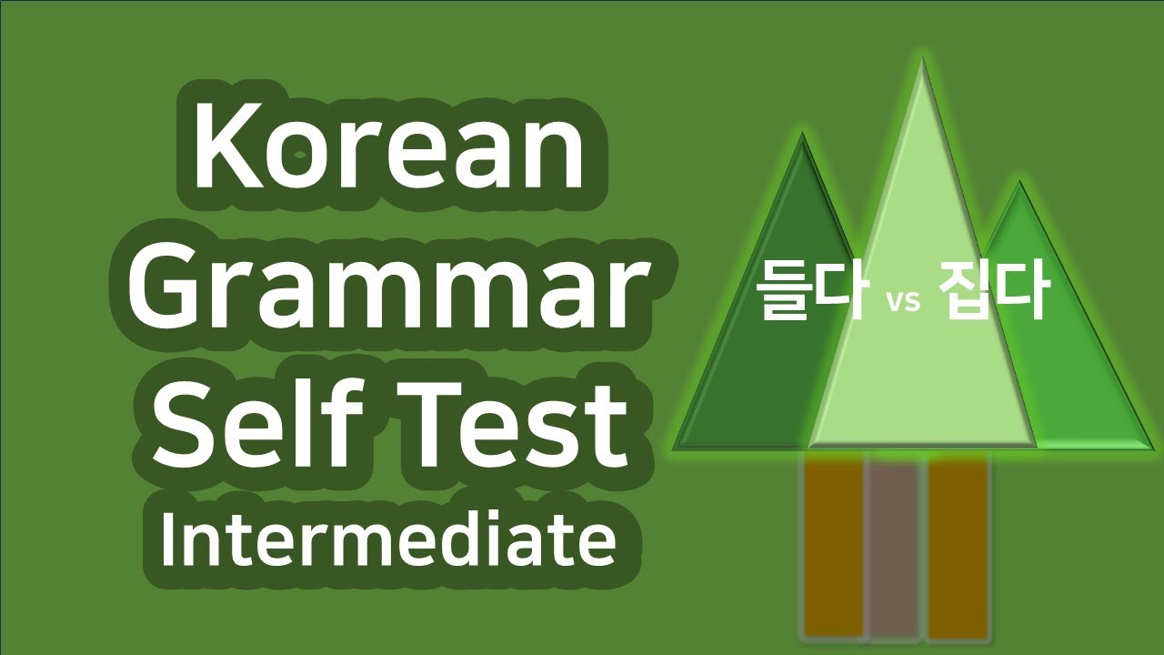 korean grammar test 집다 vs 들다 - YouTube