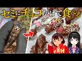 【美味い】セミにチョコをかけるヤバい料理を食べよう！【with月ノ美兎さん】