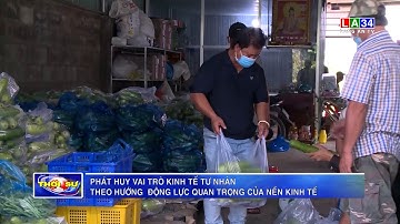 Tiếp tục phát huy vai trò kinh tế tư nhân theo hướng  động lực quan trọng của nền kinh tế