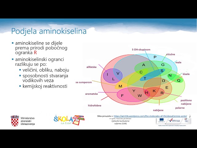 Kemija 4. r. SŠ - Aminokiseline - YouTube