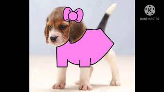 Victoria As Real Puppy Beagle