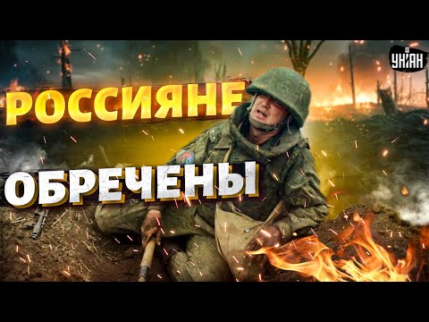Бои под Харьковом: россияне обречены, армия выдыхается. Курс Легиона на Белгород