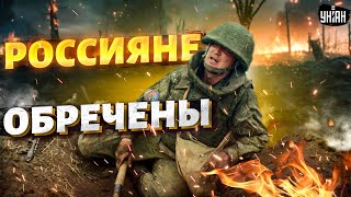 Бои под Харьковом: россияне обречены, армия выдыхается. Курс Легиона на Белгород