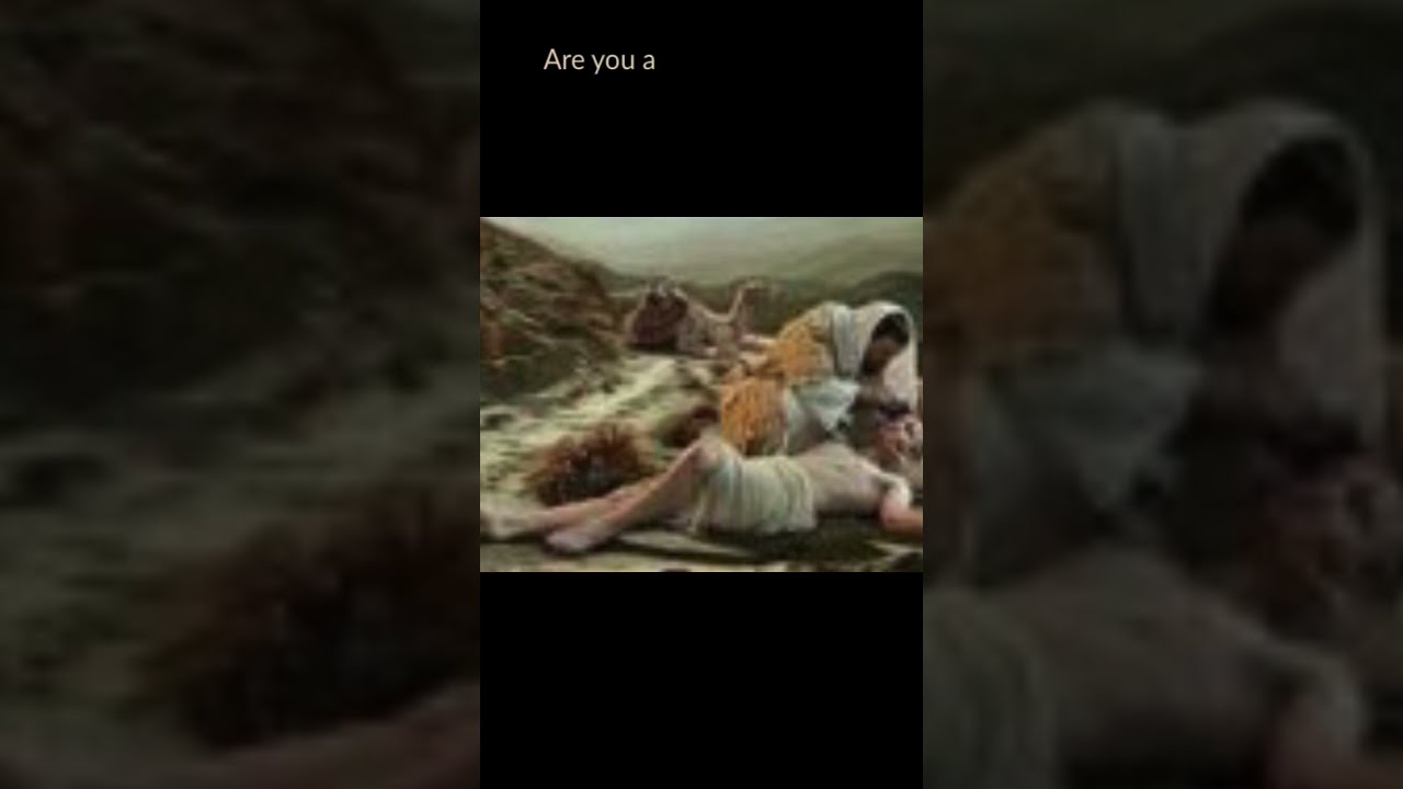 Are You A Good Samaritan There Is Only One Race The Human Goodsamaritan