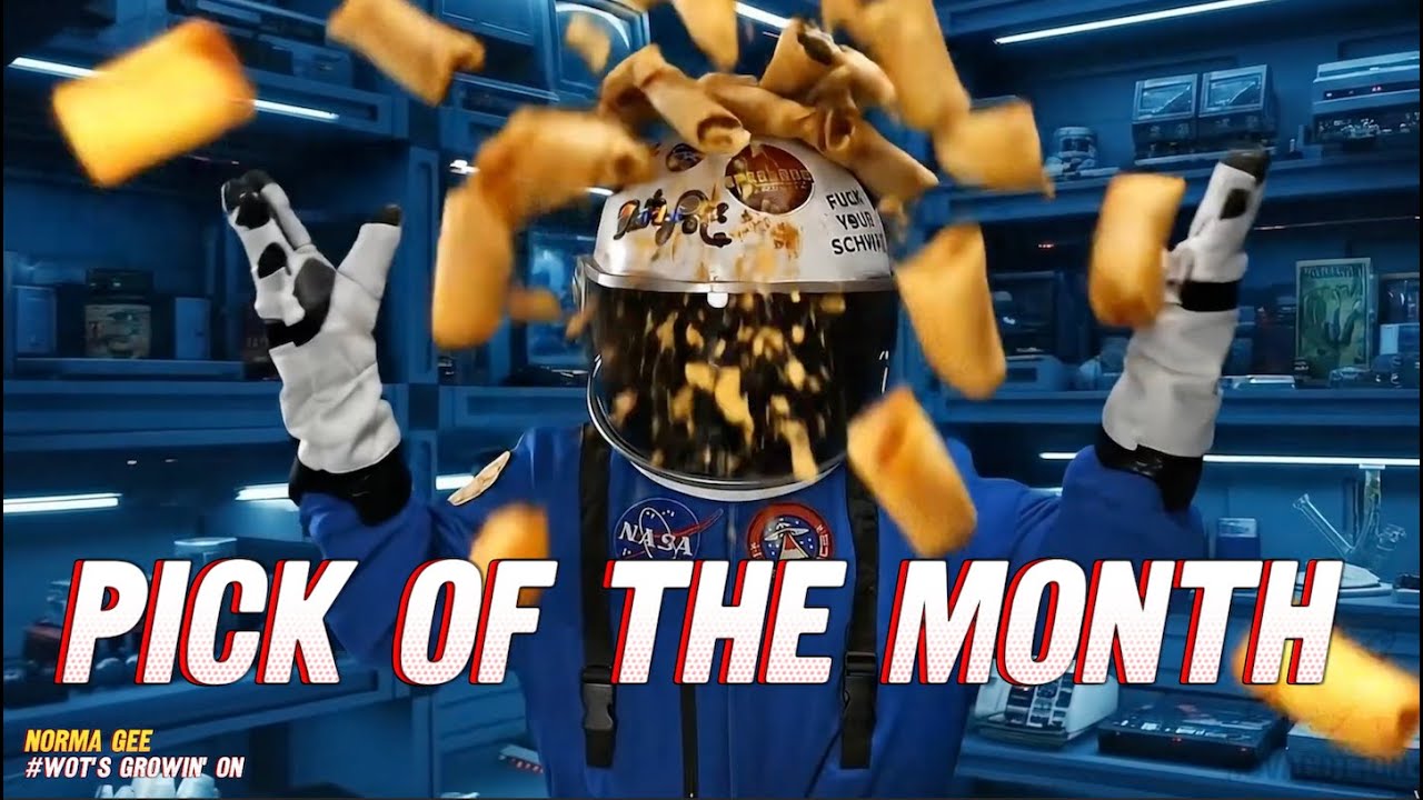 NovaCotton | PICK OF THE MONTH | Sept 2025 | Wots growin on