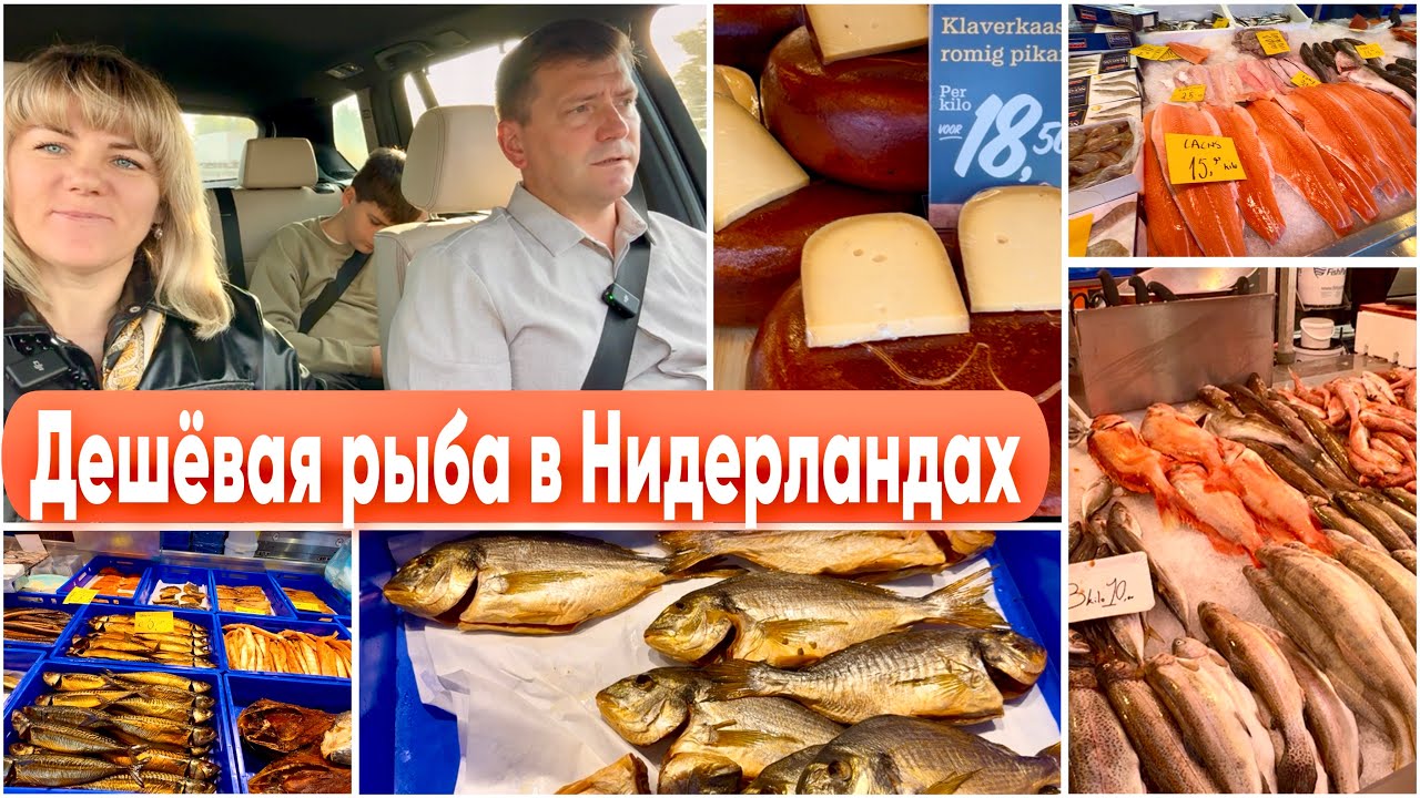 Рыбный Рынок в Нидерландах / Самая Вкусная Селёдка и Сыр / Обзор Цен / Эншеде Голландия 