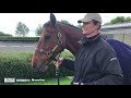 Cool Mountain - William gets soppy over 20yr old horse of a lifetime