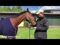 Cool Mountain - William gets soppy over 20yr old horse of a lifetime