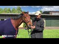 Cool Mountain - William gets soppy over 20yr old horse of a lifetime