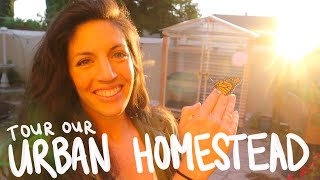 Tour Our Urban Homestead! | Hey It's A Good Life & Collaboration with Urban Homestead Friends