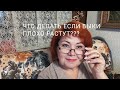 ПОЧЕМУ БЫКИ ПЛОХО РАСТУТ ЧТО ДЕЛАТЬ ЕСЛИ БЫКИ НЕ РАСТУТ whyd bo bulls grow poorly