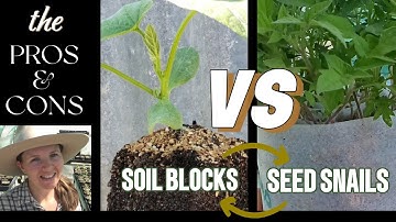 Soil Blocks VS Seed Snails | The pros and cons of seed starting | Australian Homestead Garden