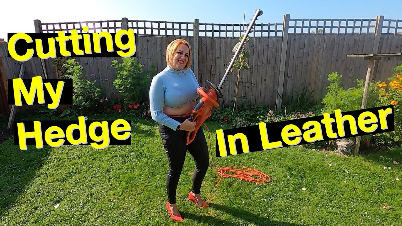 Подстригаю живую изгородь из кожи