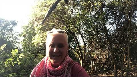 Extremes of flow in Syntropy and Entropy