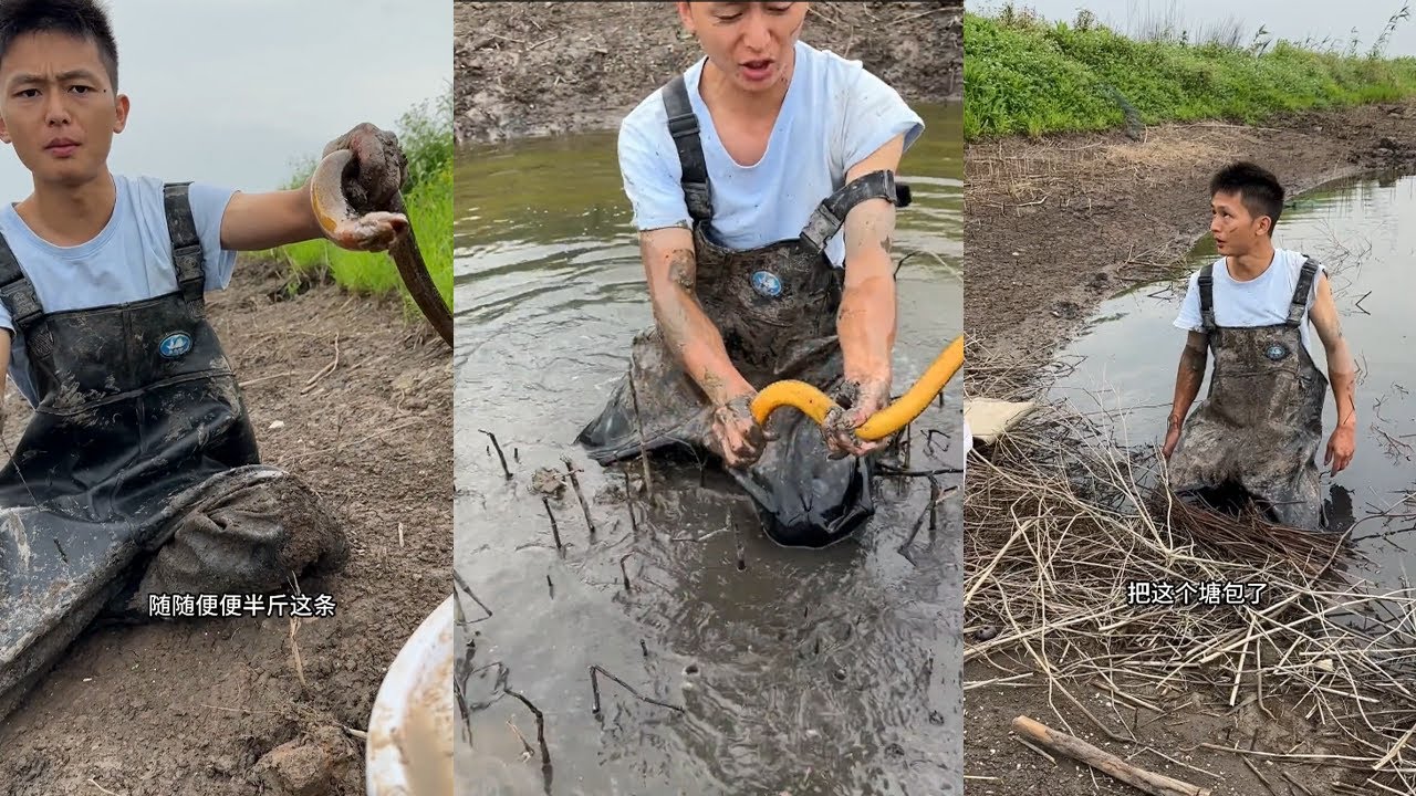 巴掌大的地方跟我要500塊，是想把去年虧的都賺回來嗎？#viralvideo #熱門