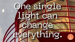 Famous One single light can change everything. Profile