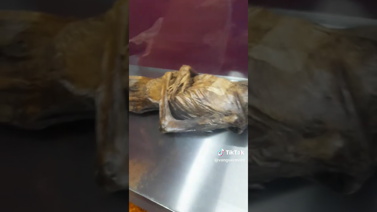 Segunda parte día de muertos en panteones e atemajac y visita a las momias de atemajac