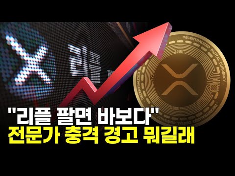 "리플 팔면 바보다"…전문가 충격 경고 뭐길래 - video from Decenter