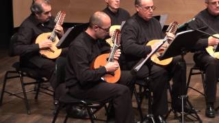 Video thumbnail of "Ávila Pulso y Púa - La Primavera de las Cuatro Estaciones de Vivaldi"