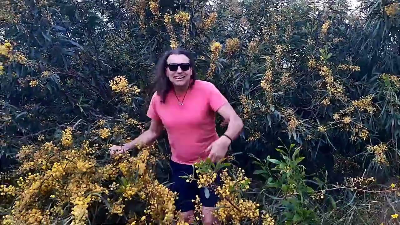 БЪДИ!-ДЕЯН НЕДЕЛЧЕВ-BE!-DEYAN ANGELOFF-2024