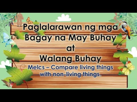 Science 3 Paglalarawan ng mga bagay na May Buhay at Walang Buhay