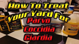 XL American Bully How To Treat Your Yard For Parvo Coccidia & Giardia + Flea & Tick Yard Treatment