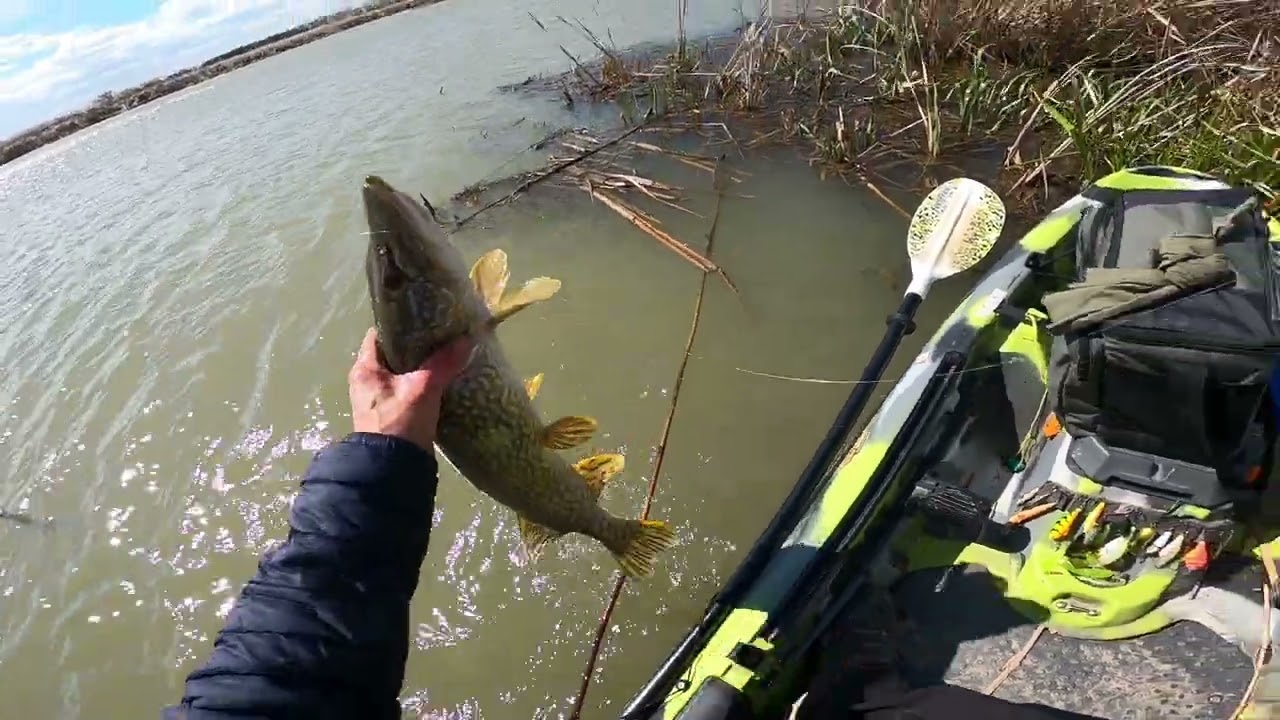 A NYUGATI CSUKA - Pergetés a Nyugati - főcsatorna tározón.