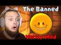 I Played the BANNED Verity Mod