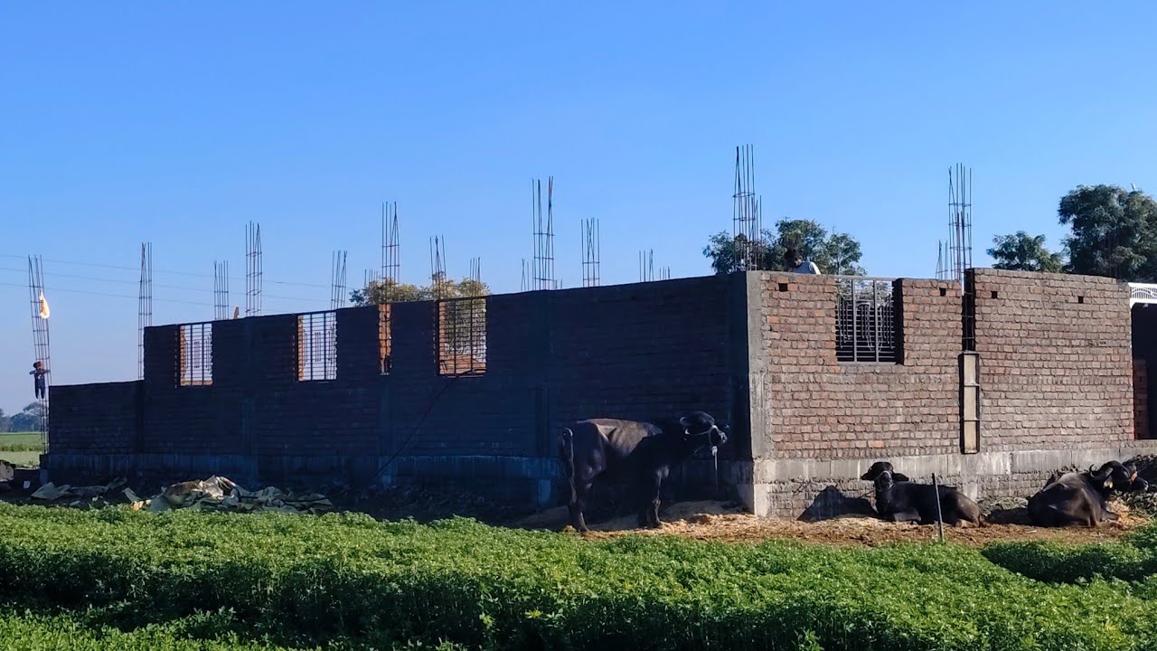 Unkal ka new makan 😱😍💗